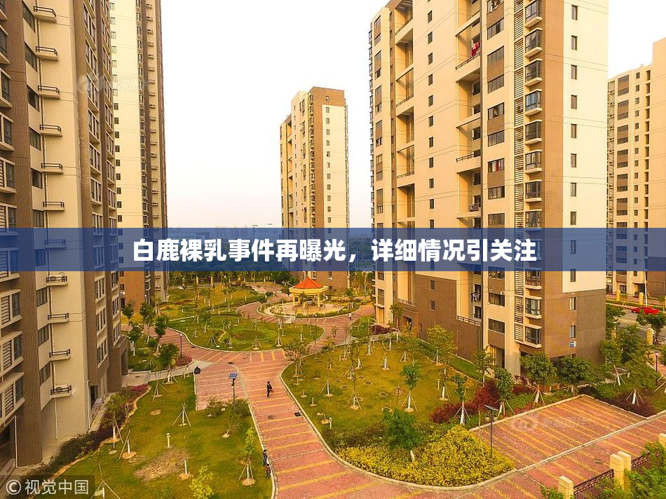 白鹿裸乳事件再曝光，详细情况引关注