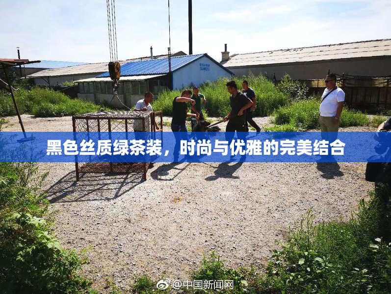 黑色丝质绿茶装，时尚与优雅的完美结合