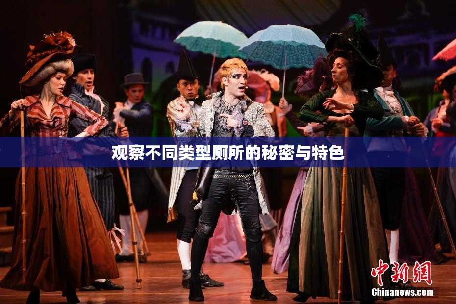 观察不同类型厕所的秘密与特色