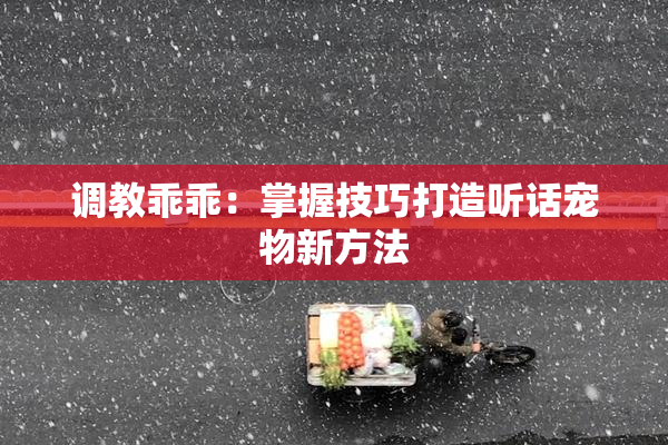 调教乖乖：掌握技巧打造听话宠物新方法