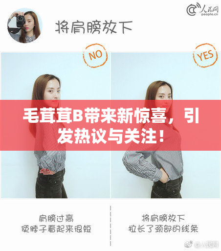 毛茸茸B带来新惊喜，引发热议与关注！