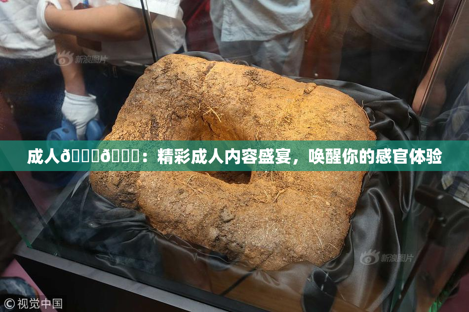 成人🍆🍑：精彩成人内容盛宴，唤醒你的感官体验