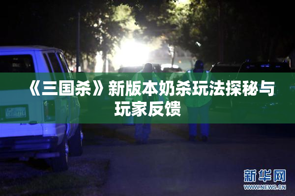 《三国杀》新版本奶杀玩法探秘与玩家反馈