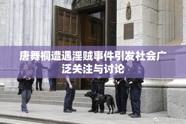 唐舞桐遭遇淫贼事件引发社会广泛关注与讨论