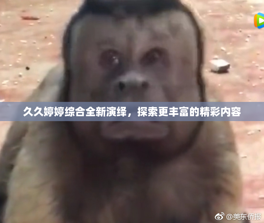 久久婷婷综合全新演绎，探索更丰富的精彩内容