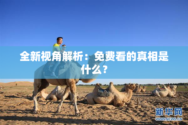全新视角解析：免费看的真相是什么？