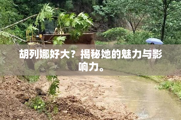 胡列娜好大？揭秘她的魅力与影响力。