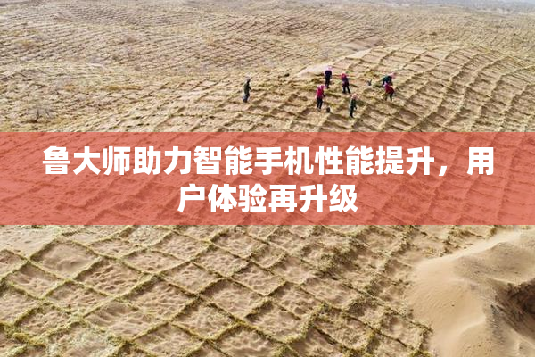 鲁大师助力智能手机性能提升，用户体验再升级