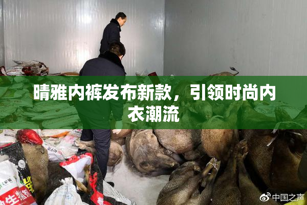 晴雅内裤发布新款，引领时尚内衣潮流