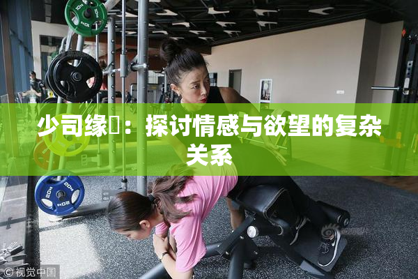 少司缘婬：探讨情感与欲望的复杂关系