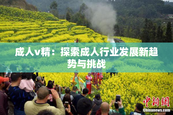 成人v精：探索成人行业发展新趋势与挑战