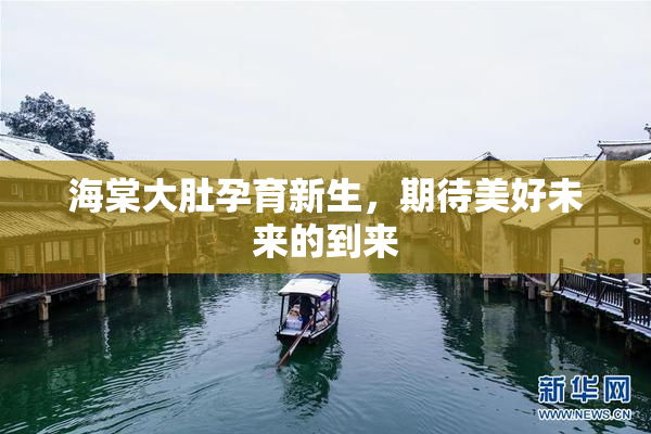 海棠大肚孕育新生，期待美好未来的到来