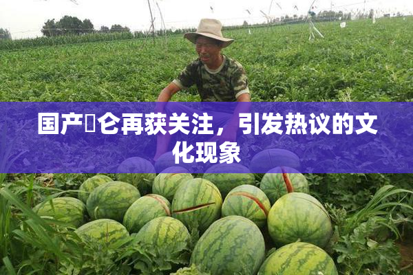 国产婬仑再获关注，引发热议的文化现象