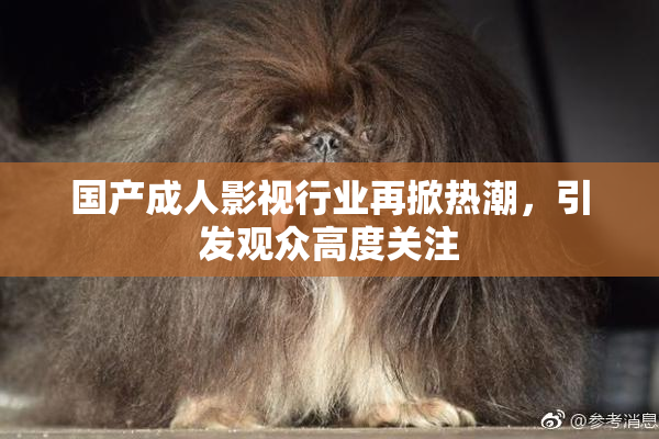 国产成人影视行业再掀热潮，引发观众高度关注