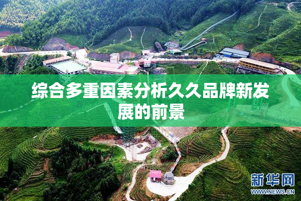 综合多重因素分析久久品牌新发展的前景