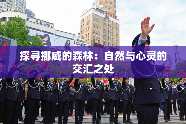 探寻挪威的森林：自然与心灵的交汇之处