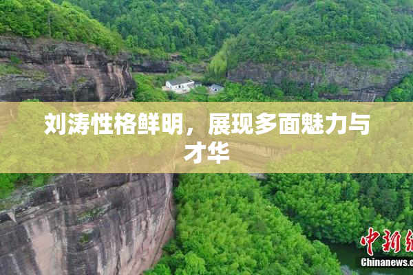 刘涛性格鲜明，展现多面魅力与才华
