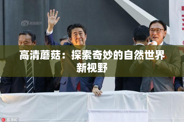高清蘑菇：探索奇妙的自然世界新视野
