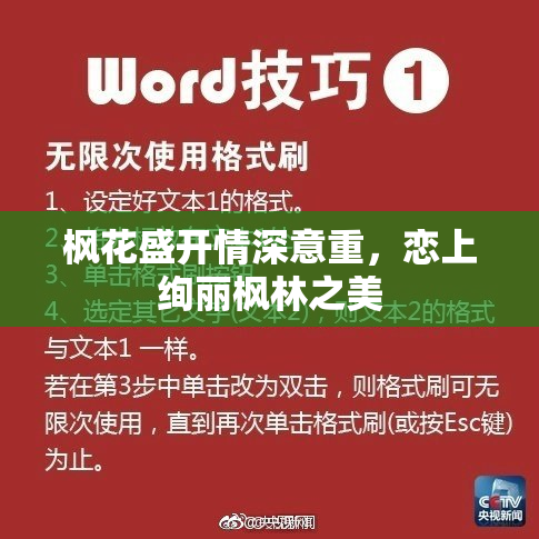 枫花盛开情深意重，恋上绚丽枫林之美