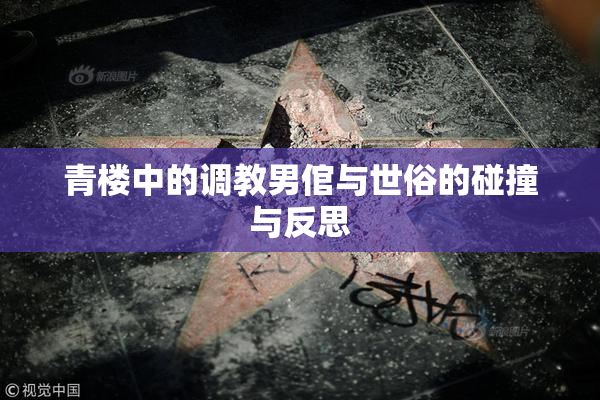 青楼中的调教男倌与世俗的碰撞与反思