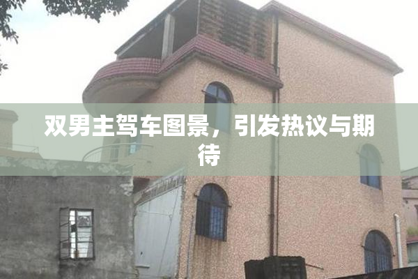 双男主驾车图景，引发热议与期待