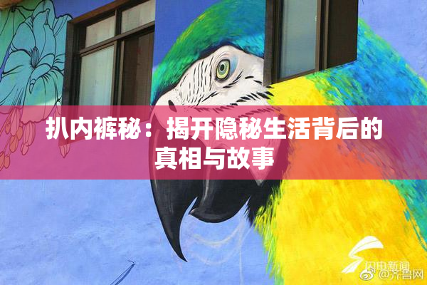 扒内裤秘：揭开隐秘生活背后的真相与故事