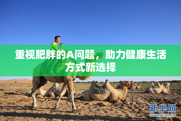 重视肥胖的A问题，助力健康生活方式新选择