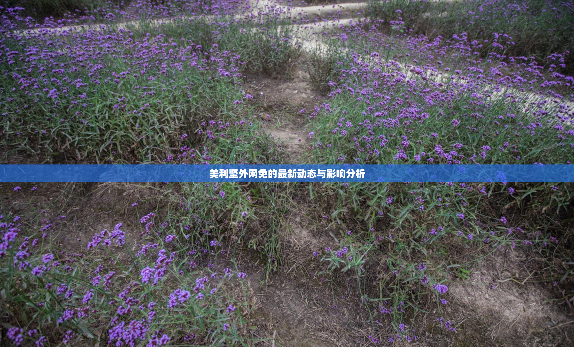 美利坚外网免的最新动态与影响分析