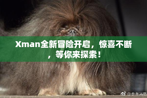 Xman全新冒险开启，惊喜不断，等你来探索！