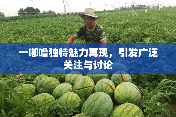 一嘟噜独特魅力再现，引发广泛关注与讨论