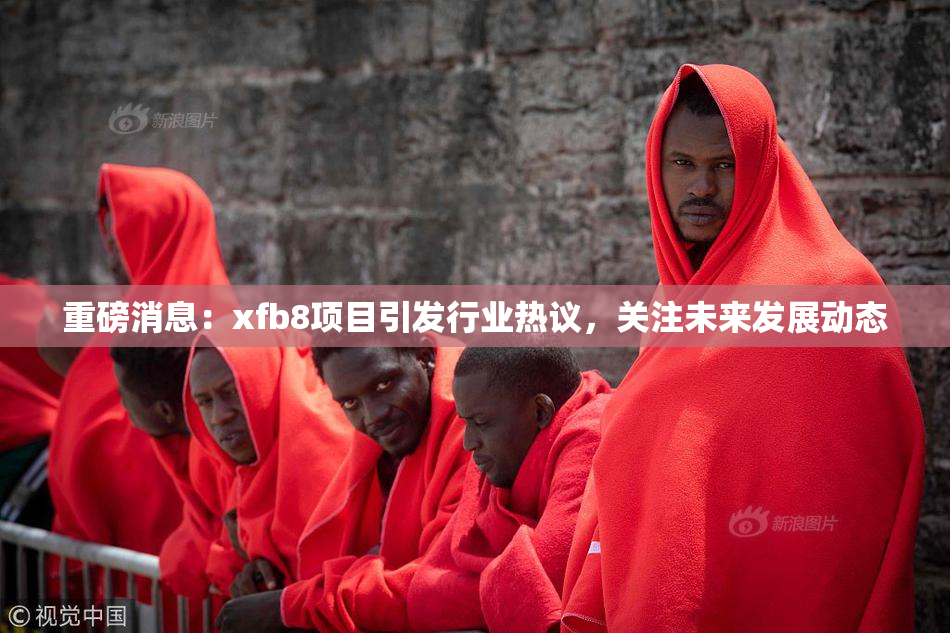 重磅消息：xfb8项目引发行业热议，关注未来发展动态