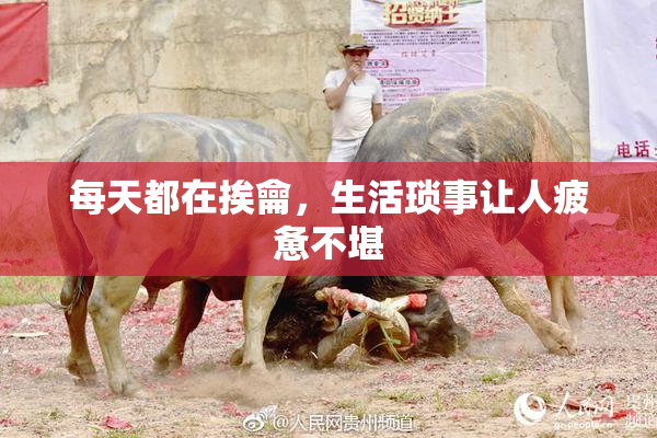 每天都在挨龠，生活琐事让人疲惫不堪