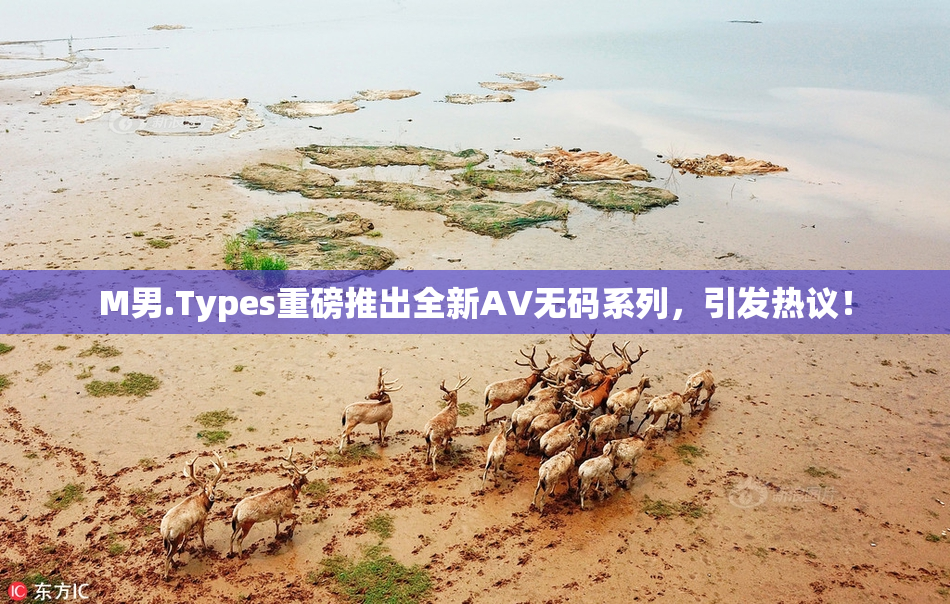M男.Types重磅推出全新AV无码系列，引发热议！