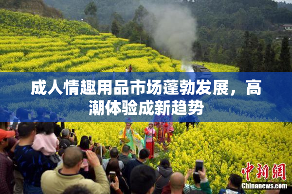 成人情趣用品市场蓬勃发展，高潮体验成新趋势