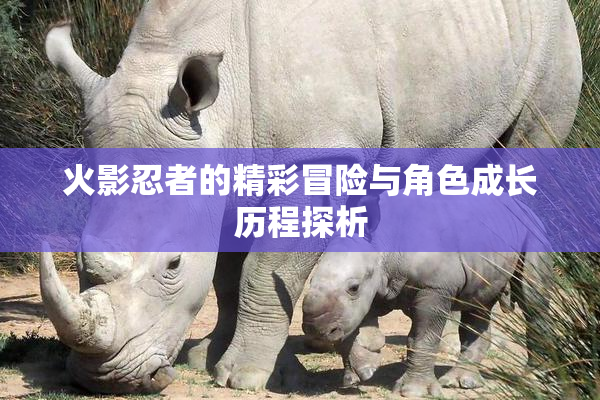 火影忍者的精彩冒险与角色成长历程探析