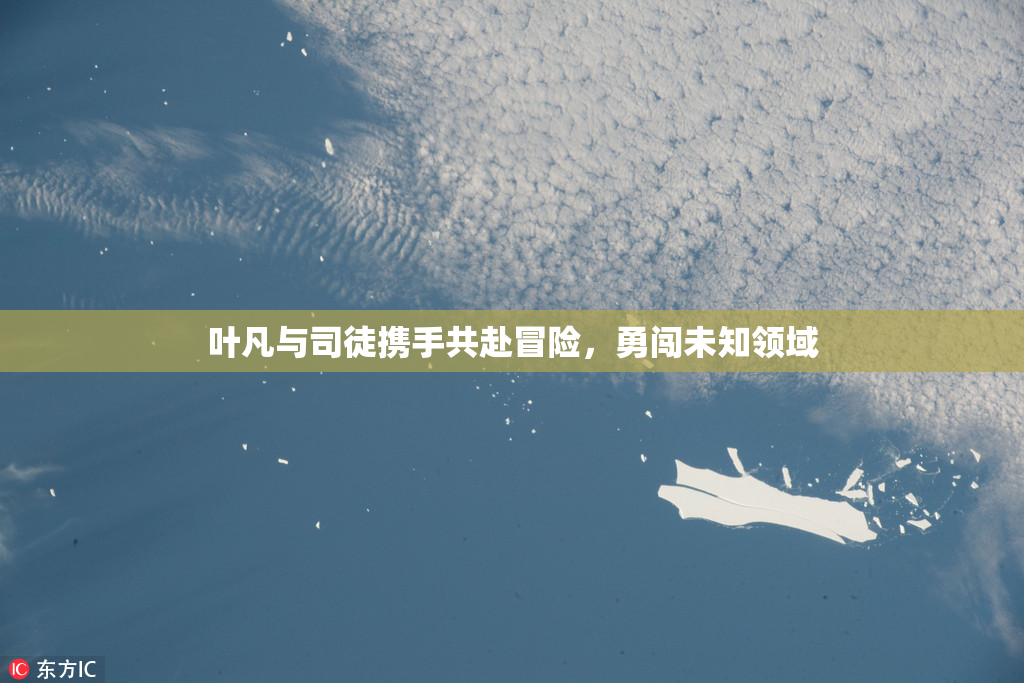 叶凡与司徒携手共赴冒险，勇闯未知领域
