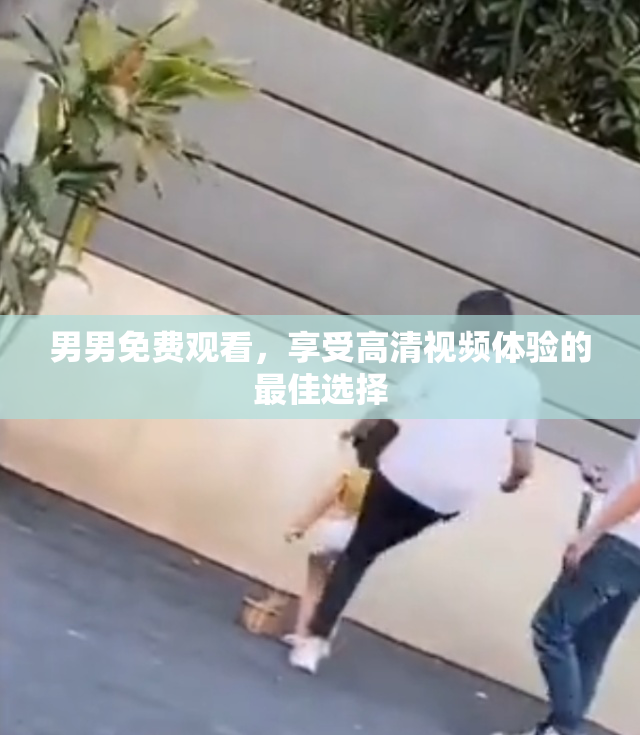 男男免费观看，享受高清视频体验的最佳选择
