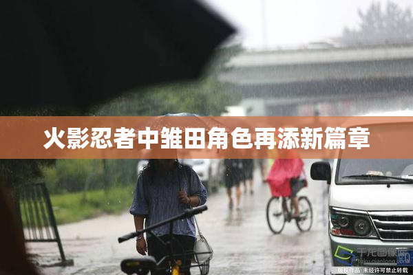 火影忍者中雏田角色再添新篇章