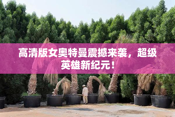 高清版女奥特曼震撼来袭，超级英雄新纪元！