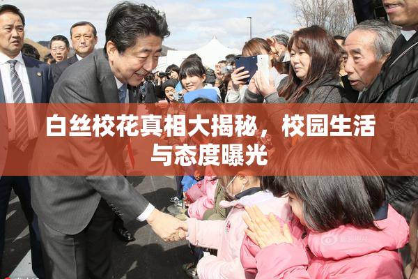 白丝校花真相大揭秘，校园生活与态度曝光