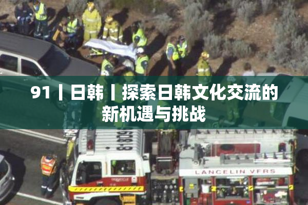 91丨日韩丨探索日韩文化交流的新机遇与挑战