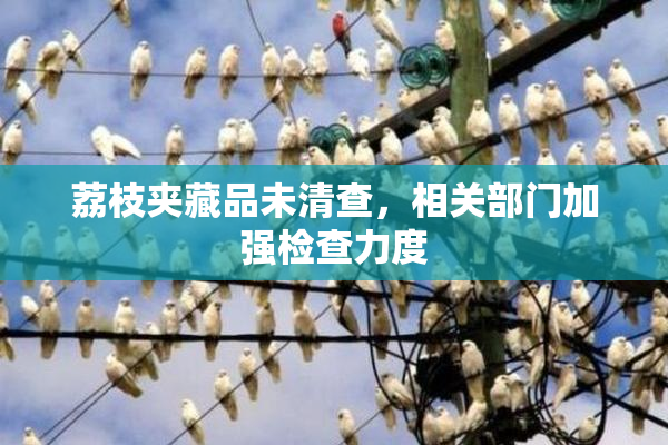 荔枝夹藏品未清查，相关部门加强检查力度