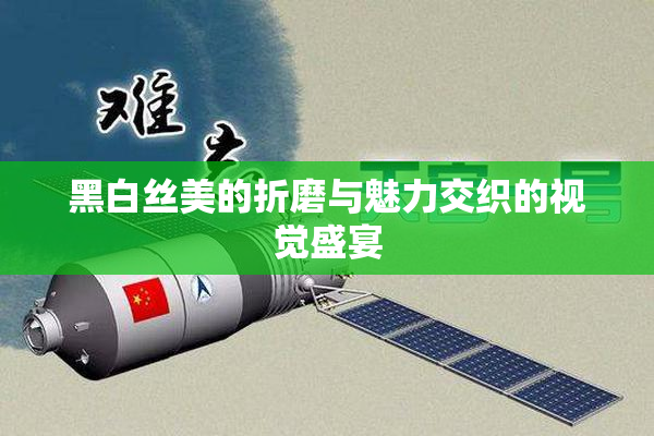 黑白丝美的折磨与魅力交织的视觉盛宴