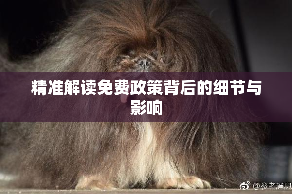 精准解读免费政策背后的细节与影响