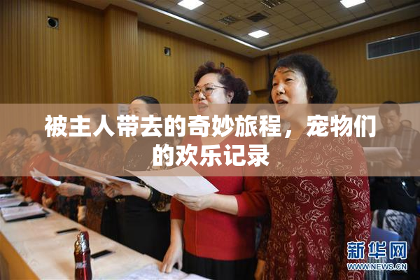 被主人带去的奇妙旅程，宠物们的欢乐记录