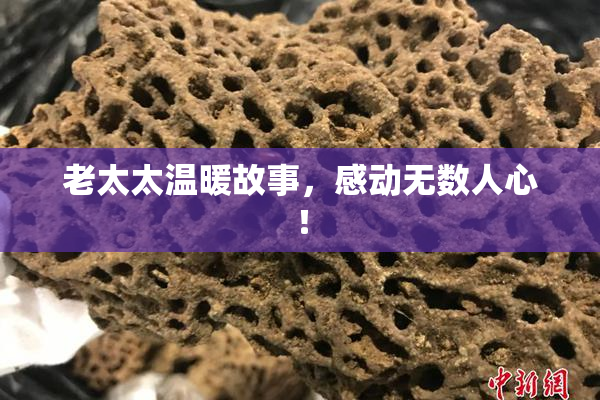 老太太温暖故事，感动无数人心！