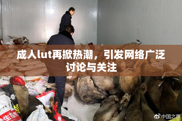 成人lut再掀热潮，引发网络广泛讨论与关注