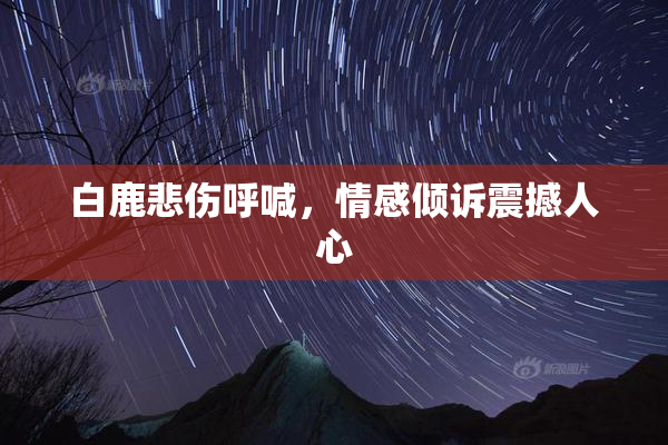 白鹿悲伤呼喊，情感倾诉震撼人心
