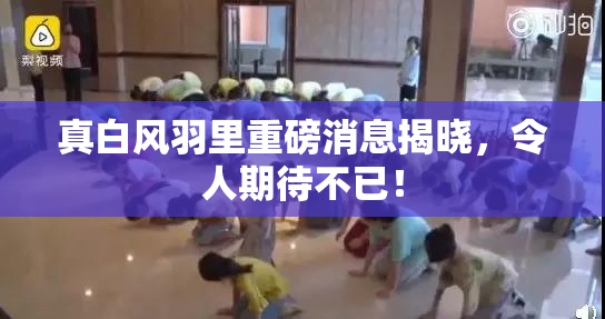 真白风羽里重磅消息揭晓，令人期待不已！
