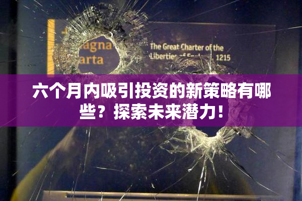 六个月内吸引投资的新策略有哪些？探索未来潜力！